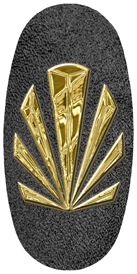 DASOV 602 GD SH BK Gold Sunburst Shimmer Black Background